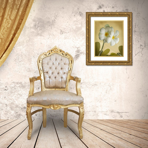 Oriental Plumeria I Gold Ornate Wood Framed Art Print with Double Matting by Geyman, Vitaly