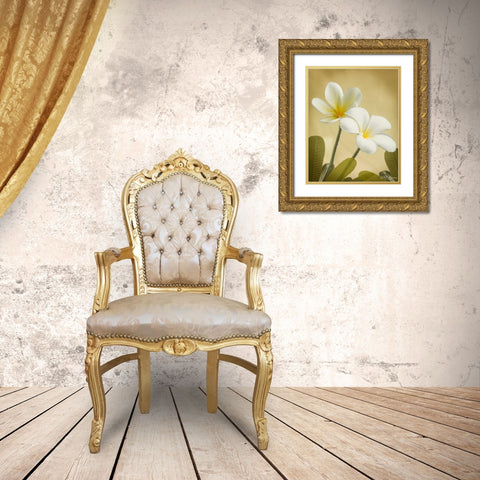 Oriental Plumeria II Gold Ornate Wood Framed Art Print with Double Matting by Geyman, Vitaly