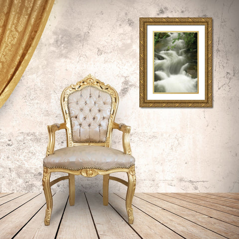 Soothing Waters I Gold Ornate Wood Framed Art Print with Double Matting by Geyman, Vitaly