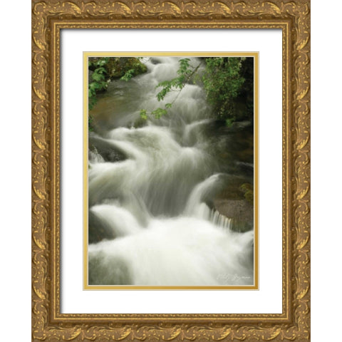 Soothing Waters I Gold Ornate Wood Framed Art Print with Double Matting by Geyman, Vitaly