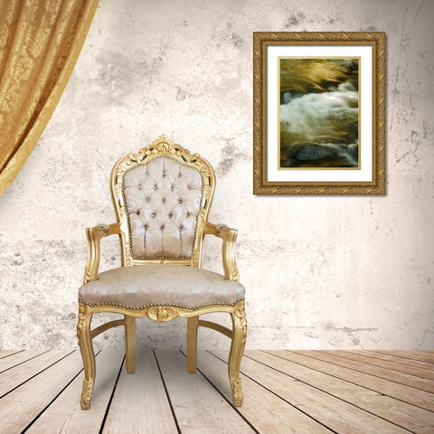 Soothing Waters VIII Gold Ornate Wood Framed Art Print with Double Matting by Geyman, Vitaly