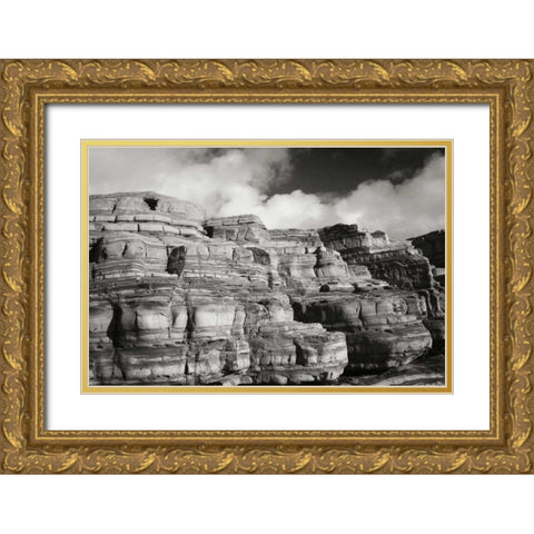 Pt. Lobos Rocks I Gold Ornate Wood Framed Art Print with Double Matting by Geyman, Vitaly