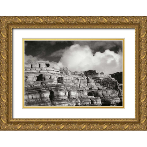 Pt. Lobos Rocks II Gold Ornate Wood Framed Art Print with Double Matting by Geyman, Vitaly