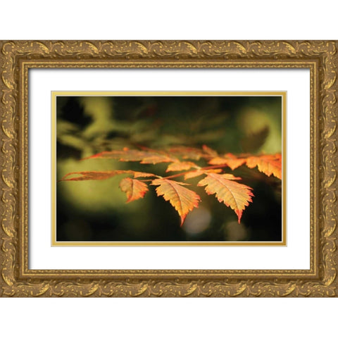 Autumn Fire Leaves II Gold Ornate Wood Framed Art Print with Double Matting by Geyman, Vitaly