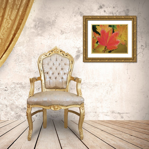 Maple Leaves Perfection II Gold Ornate Wood Framed Art Print with Double Matting by Geyman, Vitaly