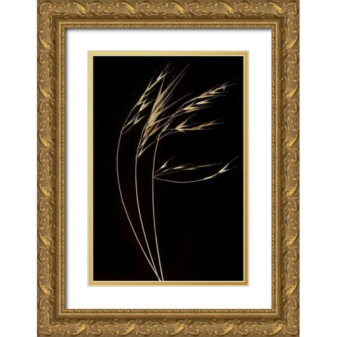 Grass Mosaic II Gold Ornate Wood Framed Art Print with Double Matting by Geyman, Vitaly