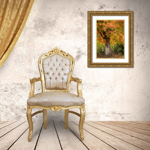 Fall Maple Fever I Gold Ornate Wood Framed Art Print with Double Matting by Geyman, Vitaly