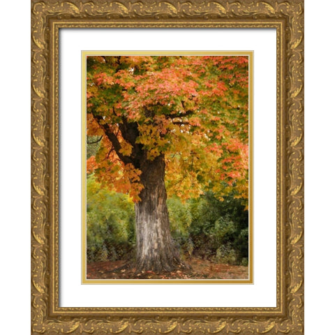 Fall Maple Fever I Gold Ornate Wood Framed Art Print with Double Matting by Geyman, Vitaly
