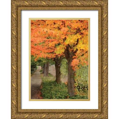 Fall Maple Fever II Gold Ornate Wood Framed Art Print with Double Matting by Geyman, Vitaly