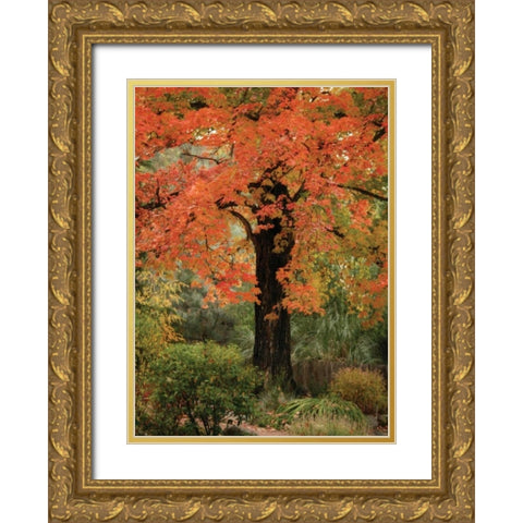 Fall Maple Fever III Gold Ornate Wood Framed Art Print with Double Matting by Geyman, Vitaly