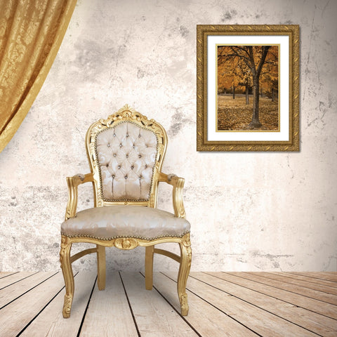 Fall Tree Grove I Gold Ornate Wood Framed Art Print with Double Matting by Geyman, Vitaly