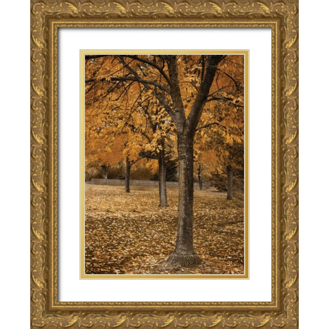 Fall Tree Grove I Gold Ornate Wood Framed Art Print with Double Matting by Geyman, Vitaly
