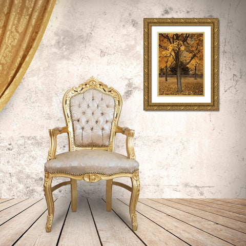Fall Tree Grove II Gold Ornate Wood Framed Art Print with Double Matting by Geyman, Vitaly