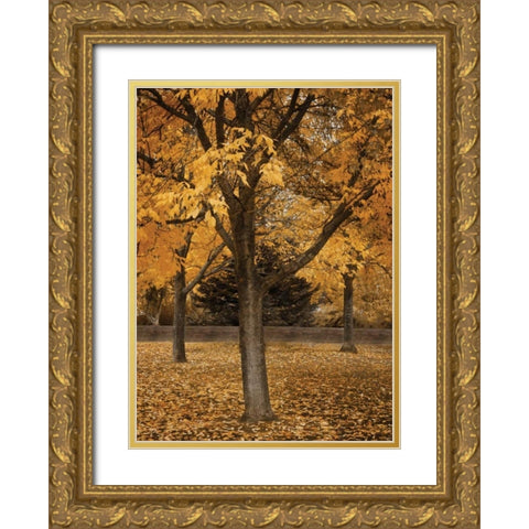 Fall Tree Grove II Gold Ornate Wood Framed Art Print with Double Matting by Geyman, Vitaly