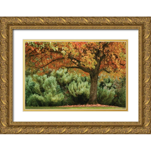Ocean of Colors Gold Ornate Wood Framed Art Print with Double Matting by Geyman, Vitaly