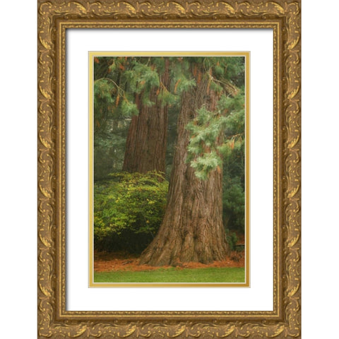 Ancient Forest I Gold Ornate Wood Framed Art Print with Double Matting by Geyman, Vitaly