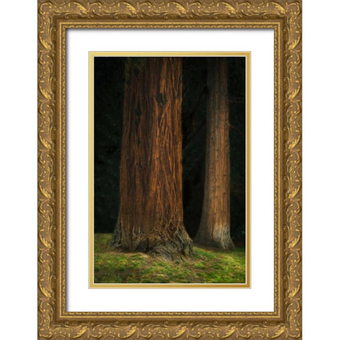 Ancient Forest II Gold Ornate Wood Framed Art Print with Double Matting by Geyman, Vitaly