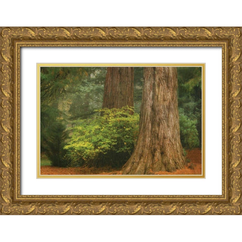 Ancient Forest III Gold Ornate Wood Framed Art Print with Double Matting by Geyman, Vitaly