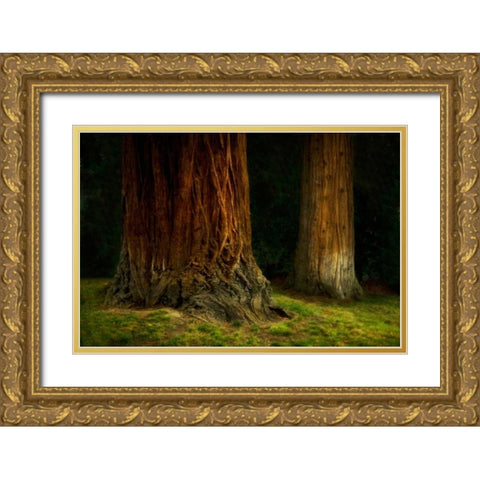 Ancient Forest IV Gold Ornate Wood Framed Art Print with Double Matting by Geyman, Vitaly