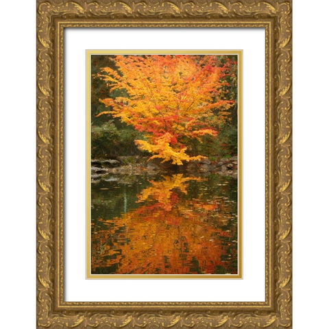 Fall Bouquet II Gold Ornate Wood Framed Art Print with Double Matting by Geyman, Vitaly