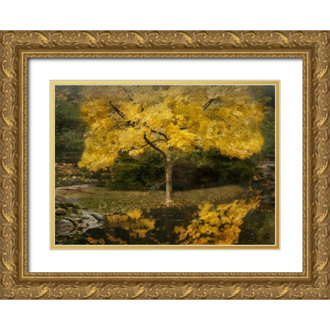 Autumn Reflections III Gold Ornate Wood Framed Art Print with Double Matting by Geyman, Vitaly