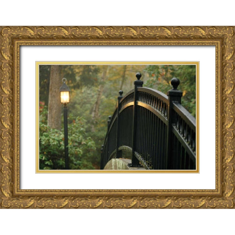 Bridge of Light I Gold Ornate Wood Framed Art Print with Double Matting by Geyman, Vitaly