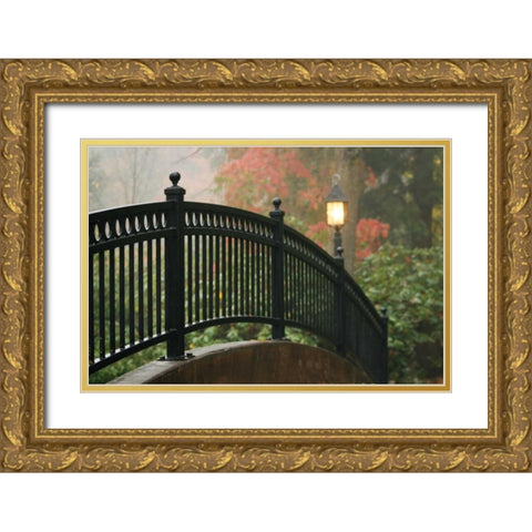 Bridge of Light II Gold Ornate Wood Framed Art Print with Double Matting by Geyman, Vitaly