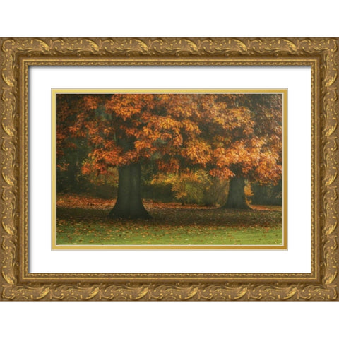 Red Oak Duo I Gold Ornate Wood Framed Art Print with Double Matting by Geyman, Vitaly