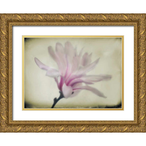 Floral Dreams I Gold Ornate Wood Framed Art Print with Double Matting by Geyman, Vitaly