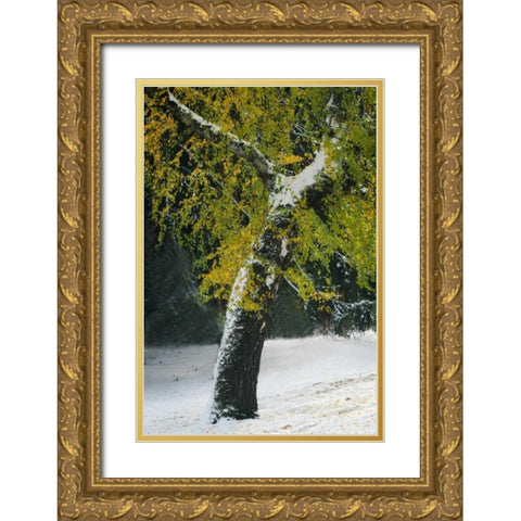 Last of Color II Gold Ornate Wood Framed Art Print with Double Matting by Geyman, Vitaly