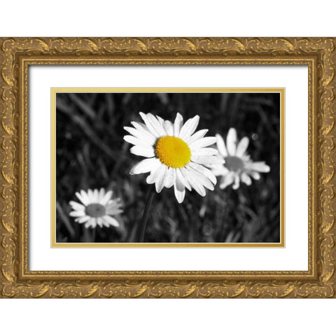 Morning Daisy II Gold Ornate Wood Framed Art Print with Double Matting by Geyman, Vitaly