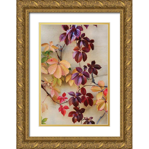 Vine Leaf Romance I Gold Ornate Wood Framed Art Print with Double Matting by Vitaly, Geyman