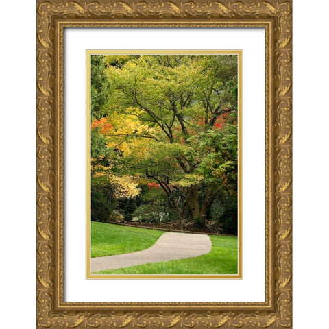 Fall Colors III Gold Ornate Wood Framed Art Print with Double Matting by Geyman, Vitaly