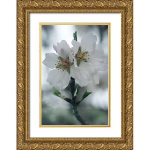 Spring Blossoms II Gold Ornate Wood Framed Art Print with Double Matting by Geyman, Vitaly