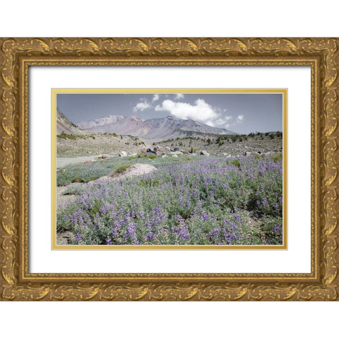 Shasta Majesty II Gold Ornate Wood Framed Art Print with Double Matting by Geyman, Vitaly