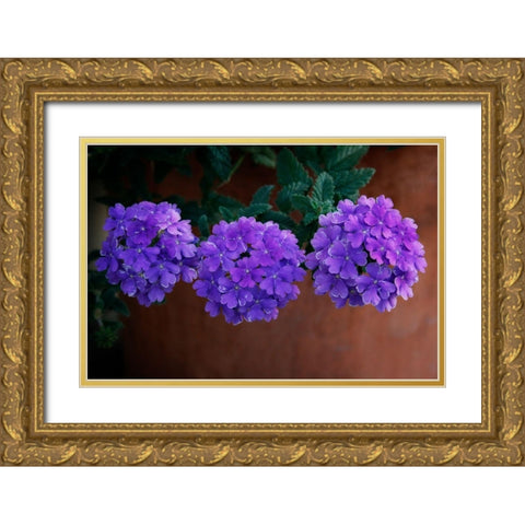 Tri Floral Bouquet Gold Ornate Wood Framed Art Print with Double Matting by Geyman, Vitaly
