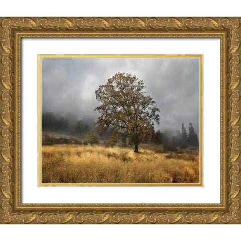 Field of Gold Gold Ornate Wood Framed Art Print with Double Matting by Geyman, Vitaly