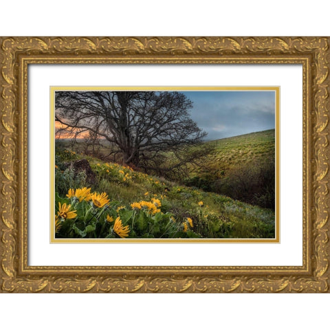 Hillside Oak Gold Ornate Wood Framed Art Print with Double Matting by Head, Danny