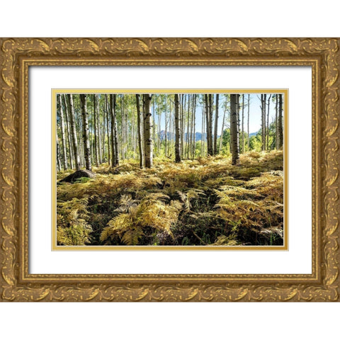 Golden Ferns Gold Ornate Wood Framed Art Print with Double Matting by Head, Danny