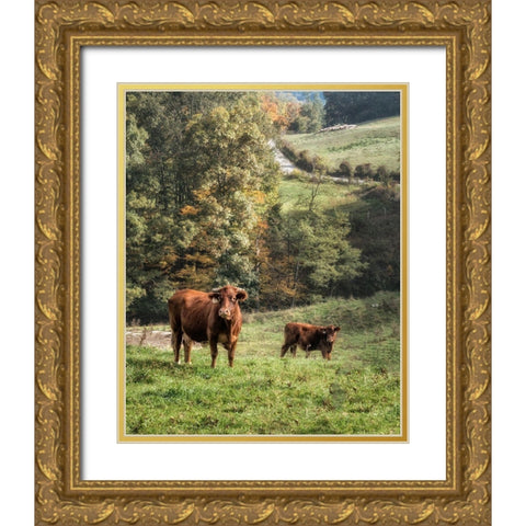 Moo Gold Ornate Wood Framed Art Print with Double Matting by Head, Danny