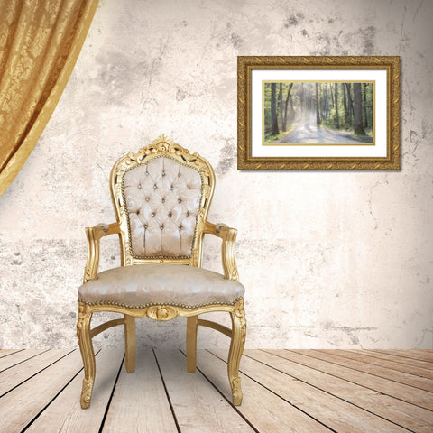 Misty Road Gold Ornate Wood Framed Art Print with Double Matting by Head, Danny