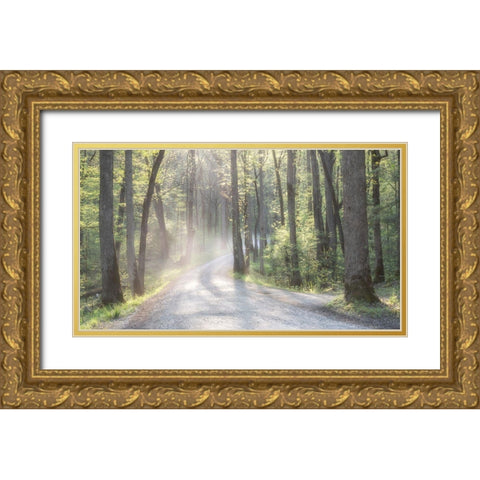 Misty Road Gold Ornate Wood Framed Art Print with Double Matting by Head, Danny