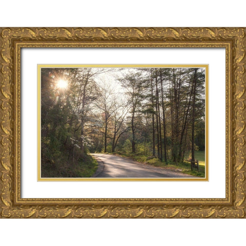 Sunburst Gold Ornate Wood Framed Art Print with Double Matting by Head, Danny