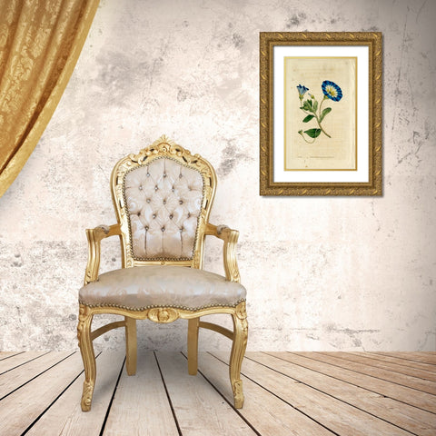 Blue Flower Gold Ornate Wood Framed Art Print with Double Matting by Art Licensing Studio