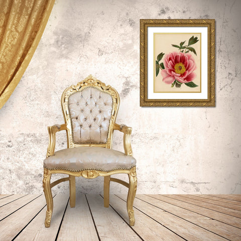 Paeonia Montan Gold Ornate Wood Framed Art Print with Double Matting by Art Licensing Studio