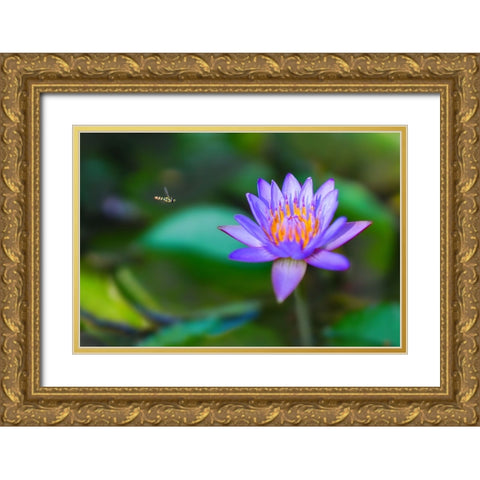 Thailand 2 - 214 Gold Ornate Wood Framed Art Print with Double Matting by Heine, Ben