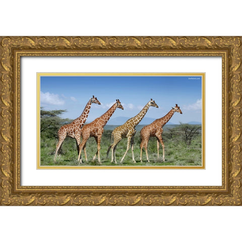 Happy Together Gold Ornate Wood Framed Art Print with Double Matting by Heine, Ben