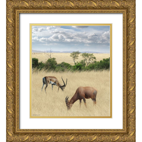 Kenya 2 Gold Ornate Wood Framed Art Print with Double Matting by Heine, Ben
