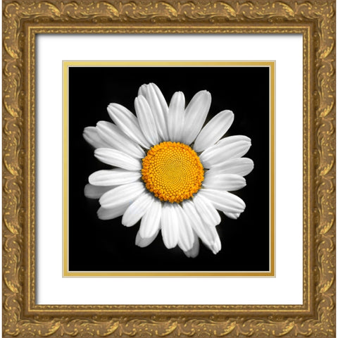 There is a Sun in Every Flower Gold Ornate Wood Framed Art Print with Double Matting by Heine, Ben