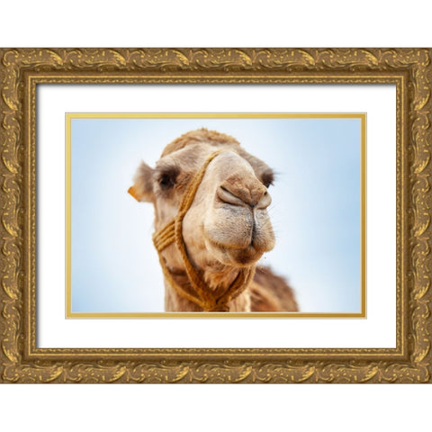 Tunisia 28 Gold Ornate Wood Framed Art Print with Double Matting by Heine, Ben